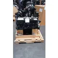 INTERNATIONAL  Engine Assembly thumbnail 16