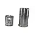 INTERNATIONAL  Engine Reman Kit thumbnail 2