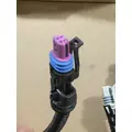 INTERNATIONAL  Engine Wiring Harness thumbnail 31