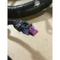 INTERNATIONAL  Engine Wiring Harness thumbnail 9