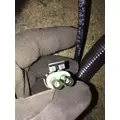 INTERNATIONAL  Engine Wiring Harness thumbnail 9