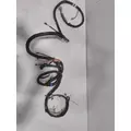 INTERNATIONAL  Engine Wiring Harness thumbnail 1