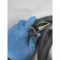 INTERNATIONAL  Engine Wiring Harness thumbnail 13