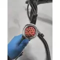 INTERNATIONAL  Engine Wiring Harness thumbnail 3