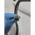 INTERNATIONAL  Engine Wiring Harness thumbnail 5