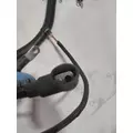 INTERNATIONAL  Engine Wiring Harness thumbnail 6