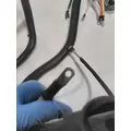 INTERNATIONAL  Engine Wiring Harness thumbnail 7