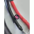 INTERNATIONAL  Engine Wiring Harness thumbnail 17