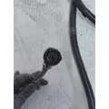 INTERNATIONAL  Engine Wiring Harness thumbnail 6