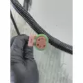 INTERNATIONAL  Engine Wiring Harness thumbnail 9