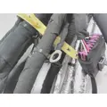 INTERNATIONAL  Engine Wiring Harness thumbnail 4