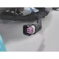 INTERNATIONAL  Engine Wiring Harness thumbnail 3