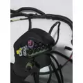INTERNATIONAL  Engine Wiring Harness thumbnail 6