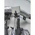 INTERNATIONAL  Engine Wiring Harness thumbnail 4