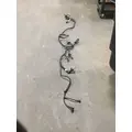 INTERNATIONAL  Engine Wiring Harness thumbnail 24