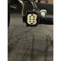 INTERNATIONAL  Engine Wiring Harness thumbnail 13