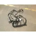 INTERNATIONAL  Engine Wiring Harness thumbnail 2
