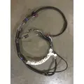 INTERNATIONAL  Engine Wiring Harness thumbnail 1