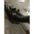 INTERNATIONAL  Engine Wiring Harness thumbnail 6