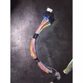 INTERNATIONAL  WIRING HARNESS, BODY thumbnail 11