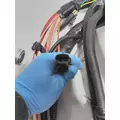 INTERNATIONAL  WIRING HARNESS, ENGINE thumbnail 12