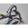 INTERNATIONAL  WIRING HARNESS, ENGINE thumbnail 4