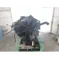 ISUZU 6HK1XC 7.8L DMAX ENGINE ASSEMBLY thumbnail 3
