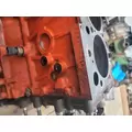 ISUZU 6HK1X Cylinder Block thumbnail 5