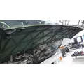 ISUZU FTR HOOD thumbnail 2