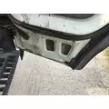 ISUZU NPR HD 1995-2007 DOOR ASSEMBLY, FRONT thumbnail 6