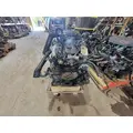 ISUZU NPR Alternator thumbnail 4