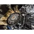 ISUZU NPR Alternator thumbnail 9