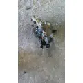 ISUZU NQR POWER STEERING GEAR thumbnail 7