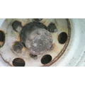 ISUZU R040 AXLE ASSEMBLY, REAR (REAR) thumbnail 3