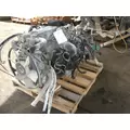 ISUZU RLY/4HE1 Engine Assembly thumbnail 3