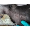 ISUZU  Exhaust Manifold thumbnail 12