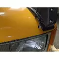 International 3800 SCHOOL BUS Hood thumbnail 8