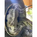 International 4300 LP Axle Assy, Fr (4WD) thumbnail 3