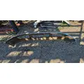USED Bumper Assembly, Front INTERNATIONAL 4300 for sale thumbnail