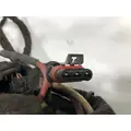 International 4300 Cab Wiring Harness thumbnail 4