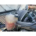  Radiator INTERNATIONAL 4300 for sale thumbnail