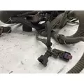 International 4400 Cab Wiring Harness thumbnail 5