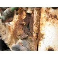 International 4900 Cab Assembly thumbnail 18