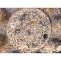 International 571349 Axle Shaft thumbnail 3