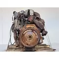 International 6.9L Engine Assembly thumbnail 13