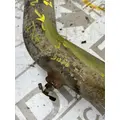 International 8600 Exhaust Pipe thumbnail 3