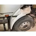 International 8600 Fender thumbnail 6