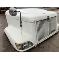 International 9100 Hood thumbnail 4