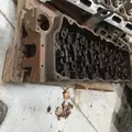 International DT466 EGR Cylinder Head thumbnail 4