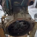 International DT466 EGR Engine Assembly thumbnail 23